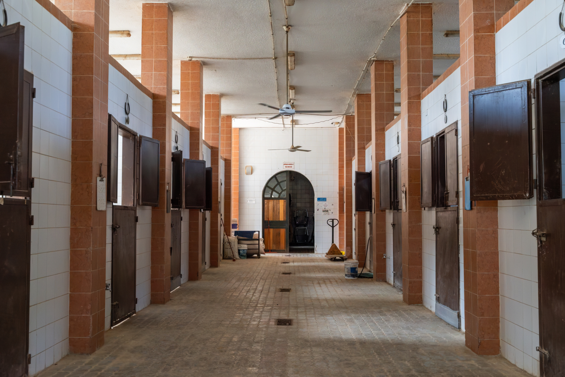 The sanctuary stables